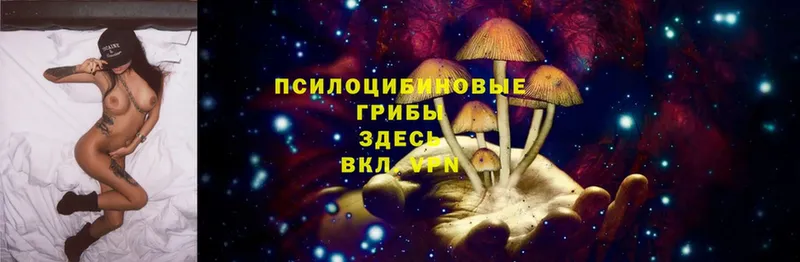 Псилоцибиновые грибы MAGIC MUSHROOMS  blacksprut вход  Обнинск  где купить наркоту 